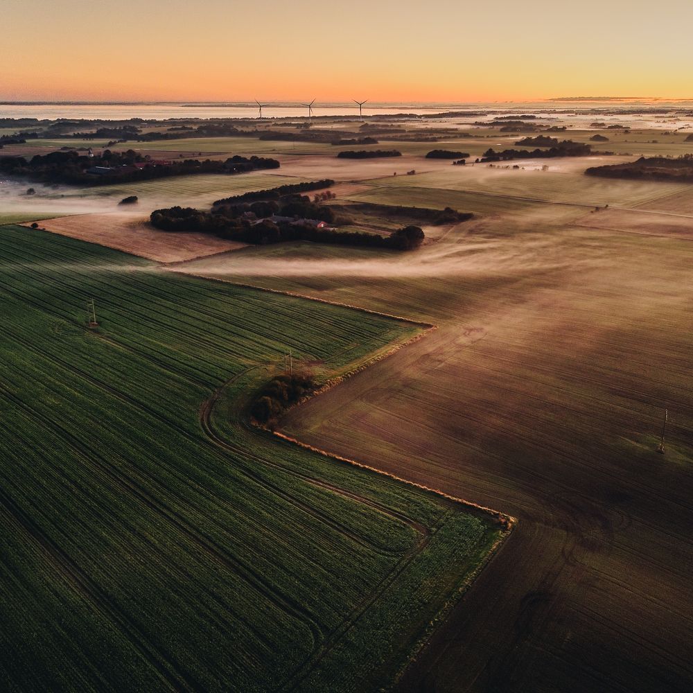 Photograph by Daniel Yelisieiev