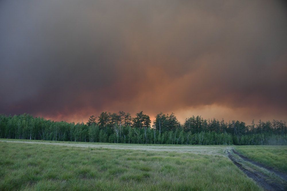 Wildfire in Yakutia.