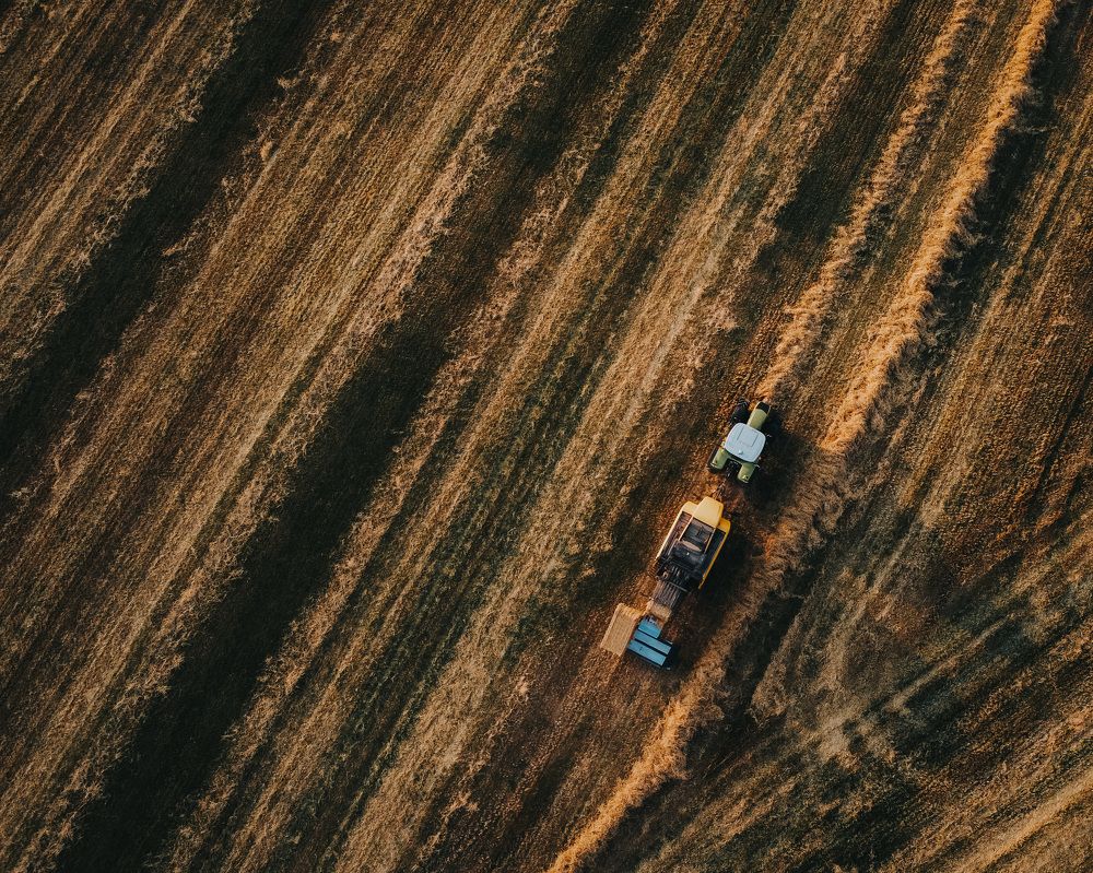 Photograph by Daniel Yelisieiev