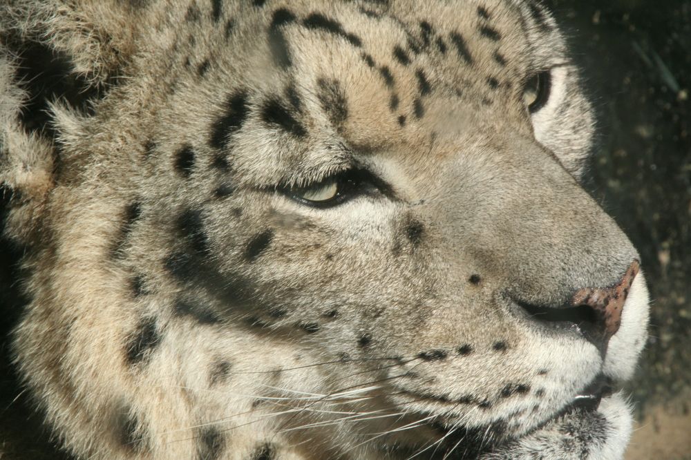 Фотография автора Jaroslav Hanzalík