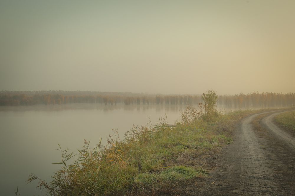 Photograph by Тим Бабурин