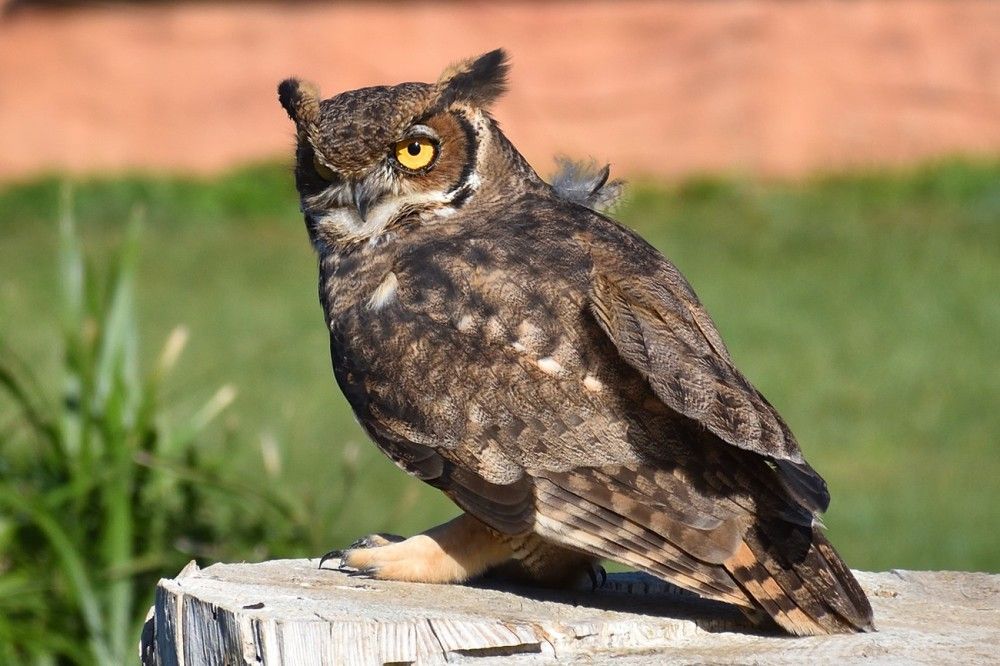 Photograph by Kostas Rammos