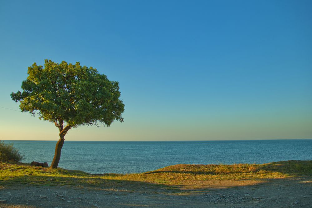 Photograph by Тим Бабурин