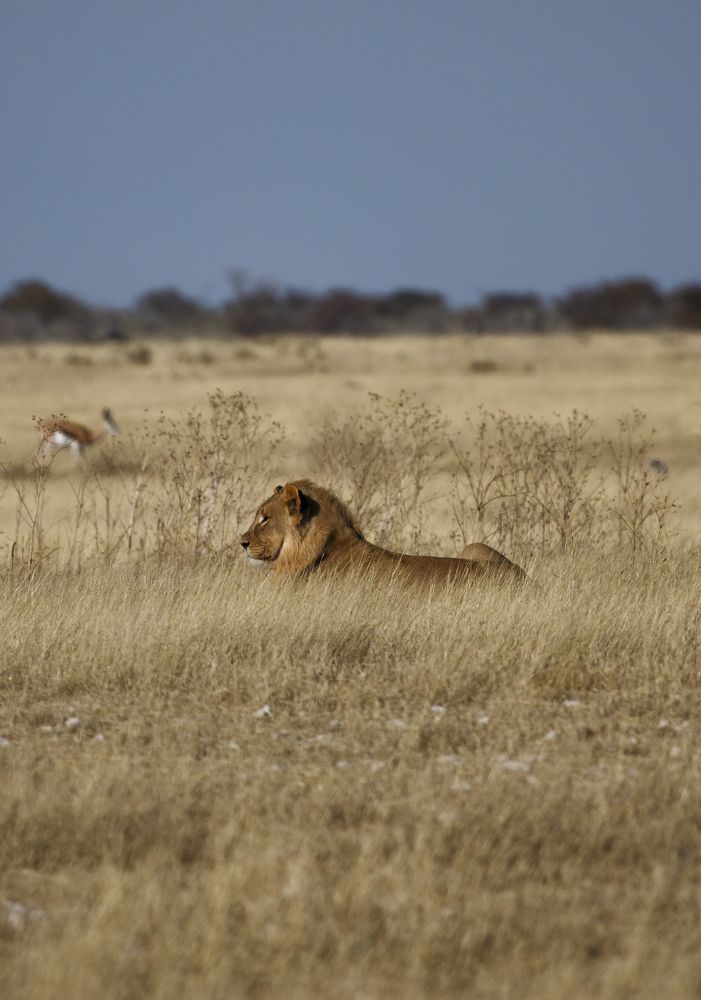 Photograph by Olena Anderson