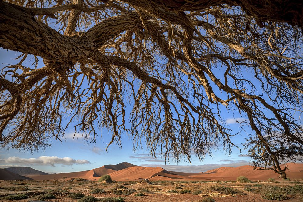 Photograph by Olena Anderson