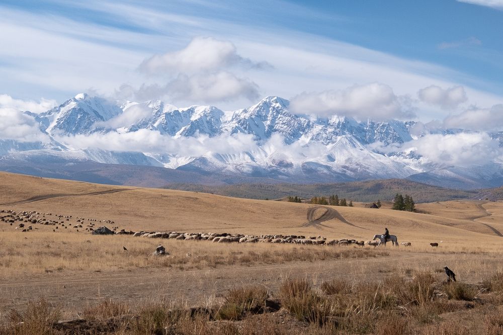 Photograph by Вадим Коротеев