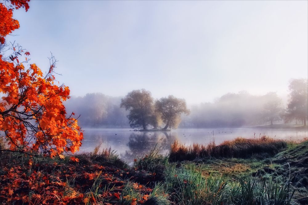 Photograph by Игорь Майоров