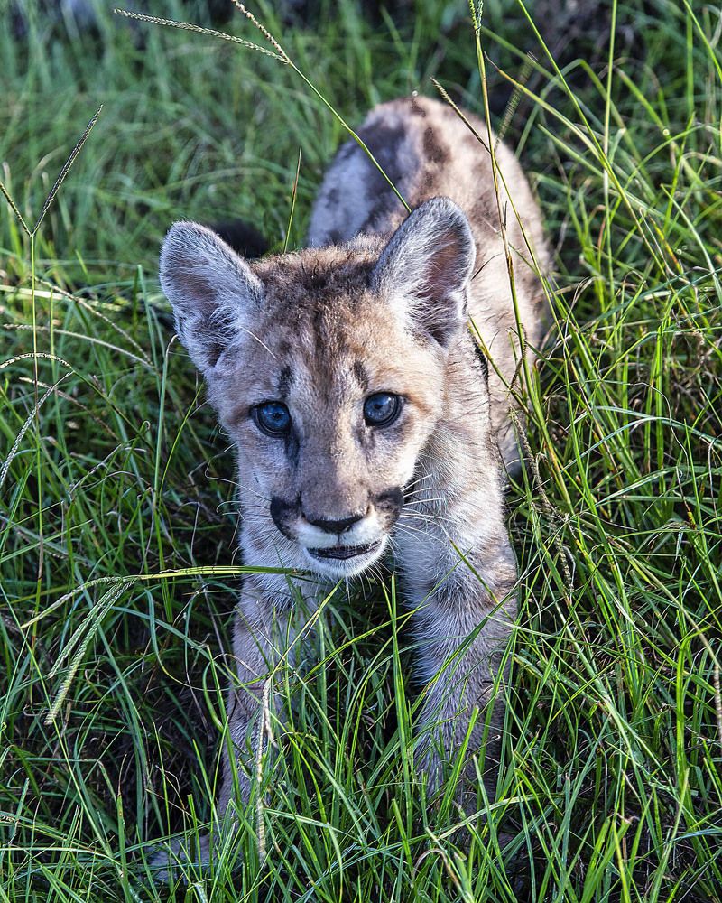 Фотография автора Raymond Asiala