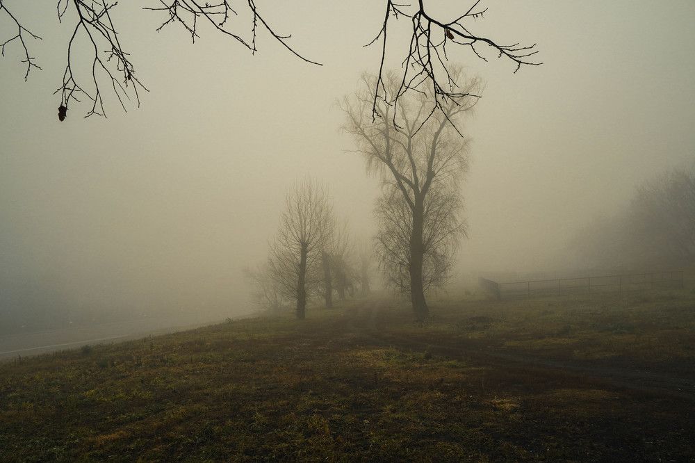 Photograph by Andrey