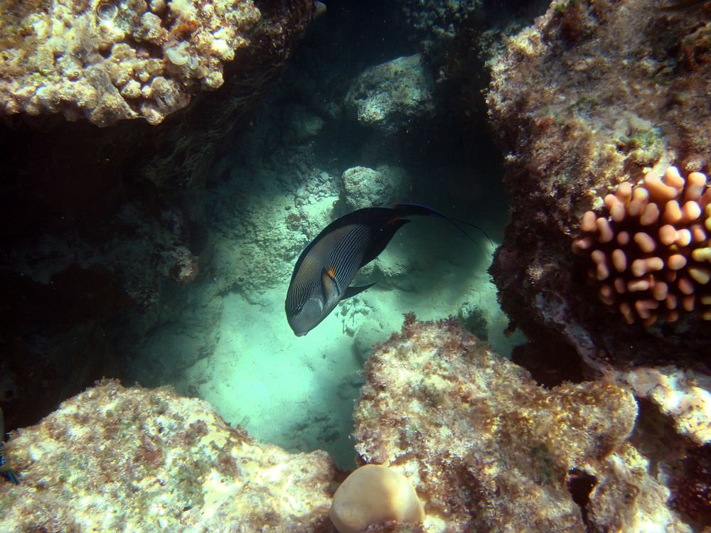 Photograph by Михаил Строев