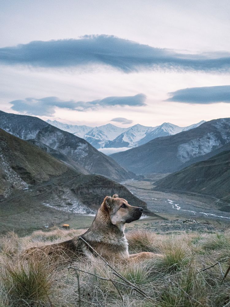 Photograph by Александр Шмелев