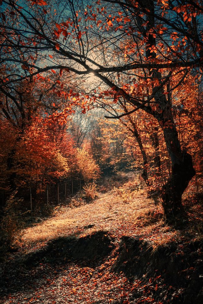 Photograph by Бабек Гасанов