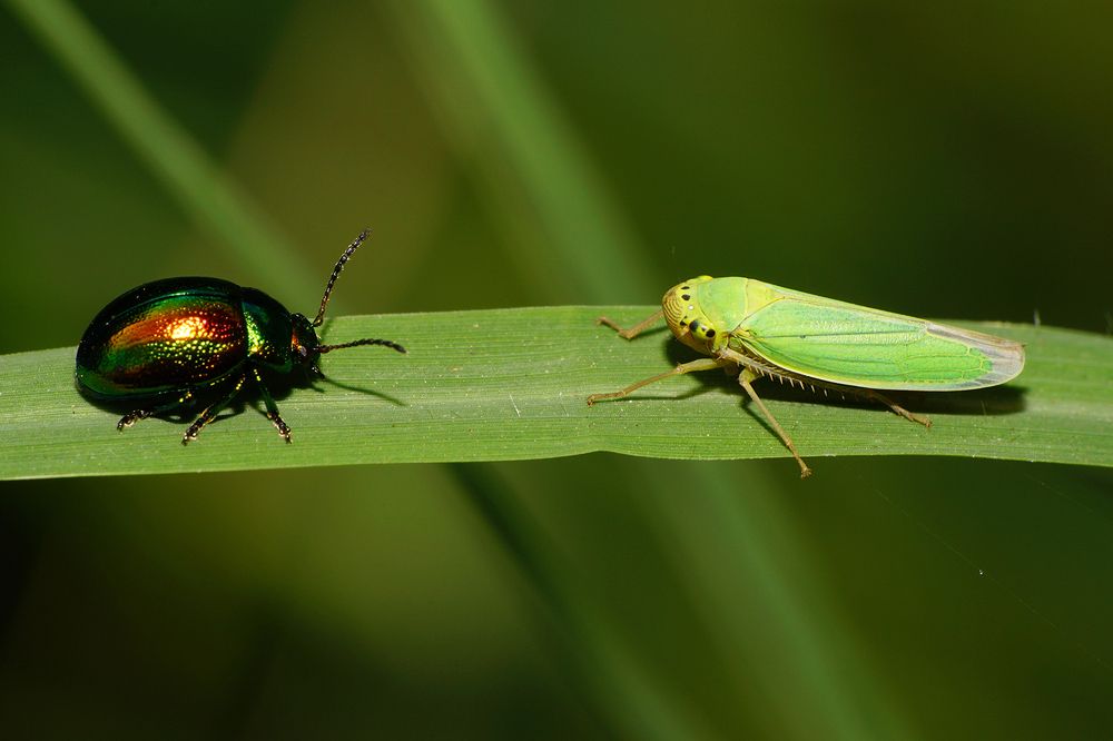 Photograph by Sergios  Kozmidis