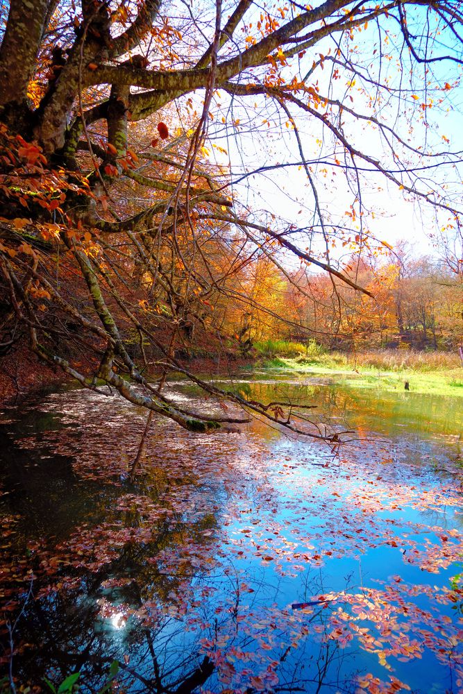 Photograph by Бабек Гасанов