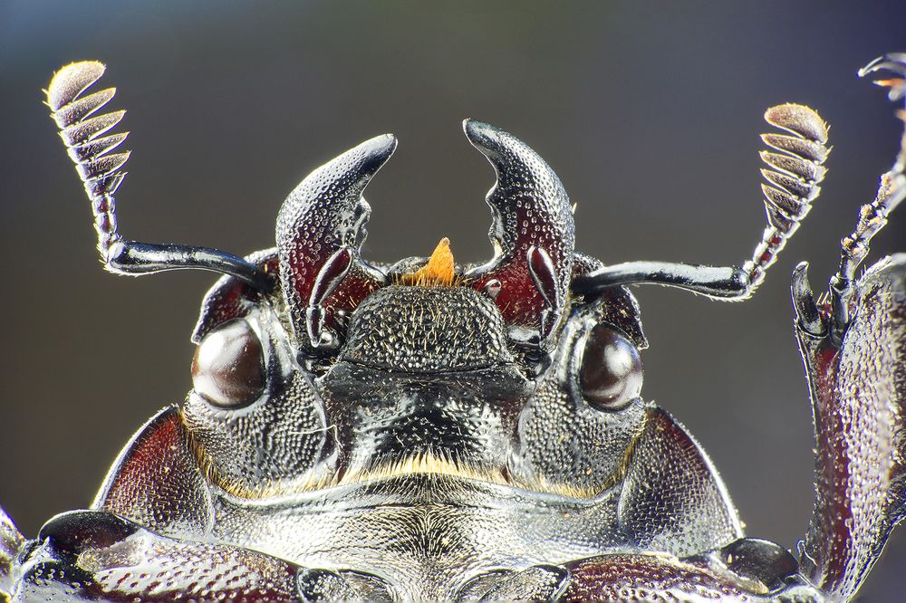 Photograph by Sergios  Kozmidis