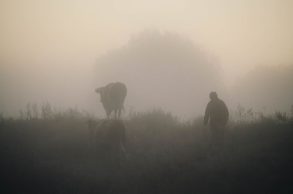 Photograph by Ксения Рябухина