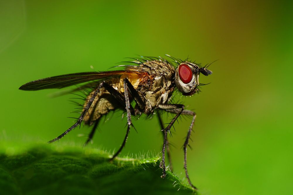 Photograph by Sergios  Kozmidis