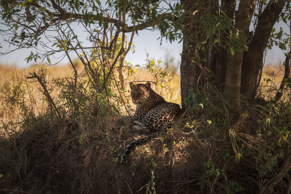 Photograph by Iris Lara