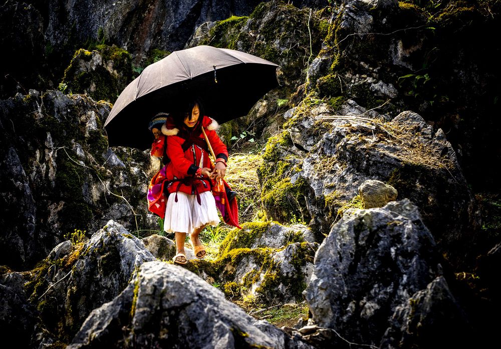 Фотография автора Đỗ Hà