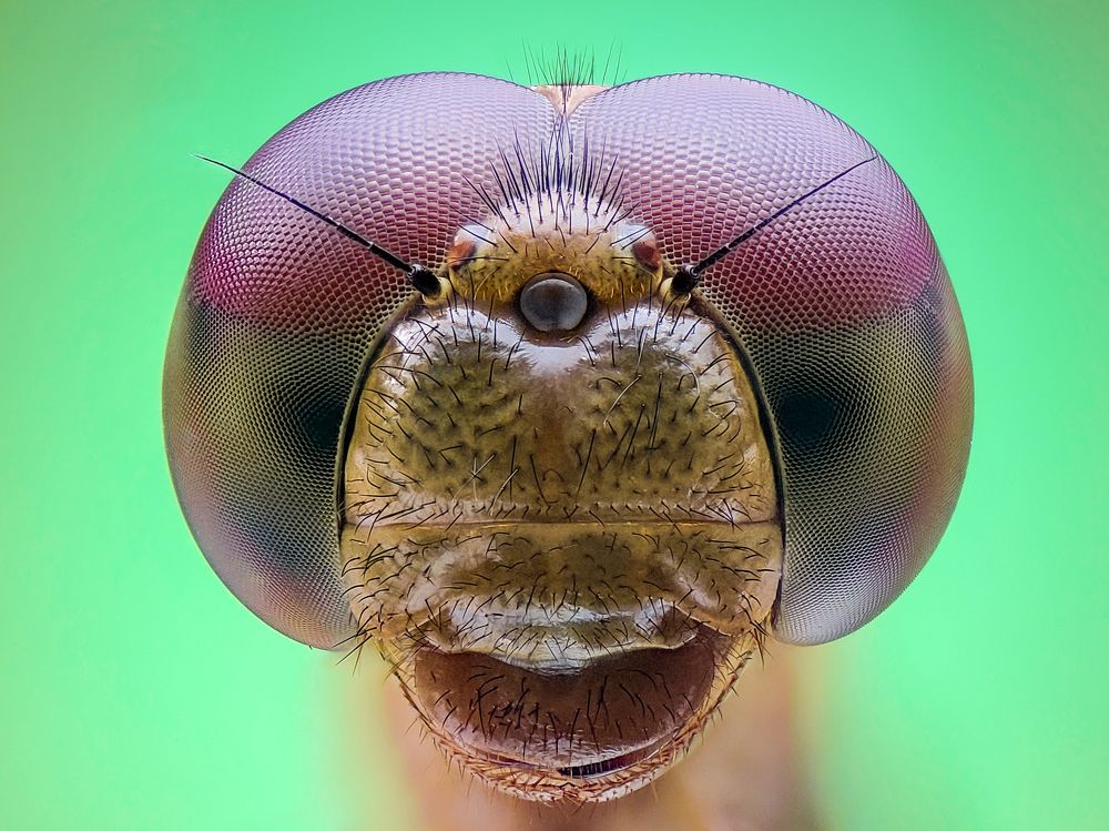 Photograph by Trung Nguyễn