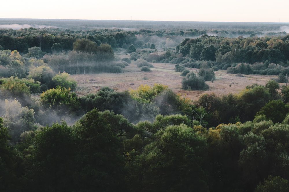 Photograph by Елена Квасова