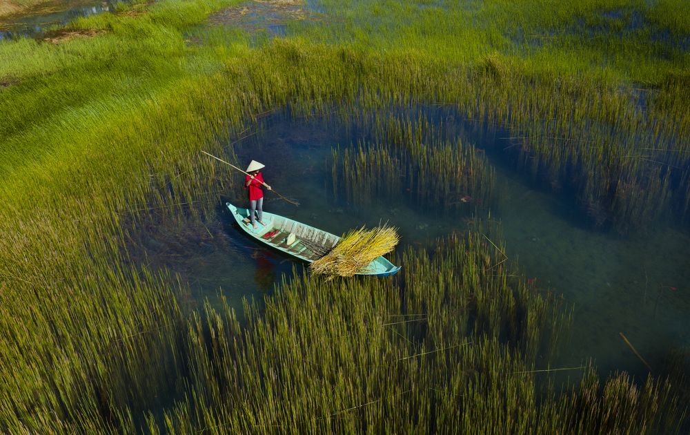 Photograph by Le Hanh Truong