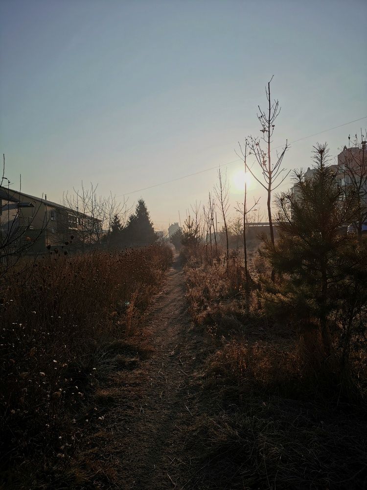 Photograph by Елена Мельник