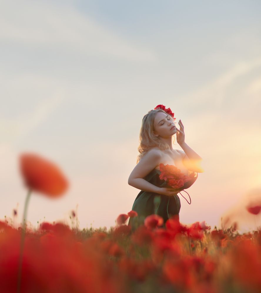 flower of the poppy field