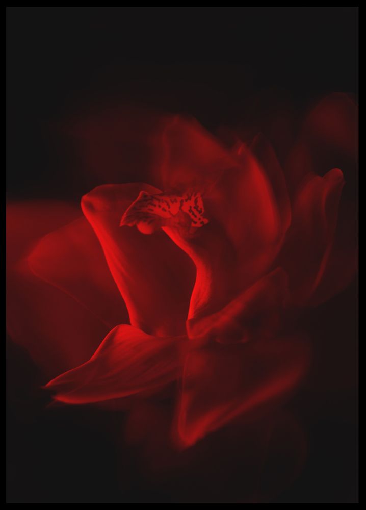 Photograph by Кристина Сотникова