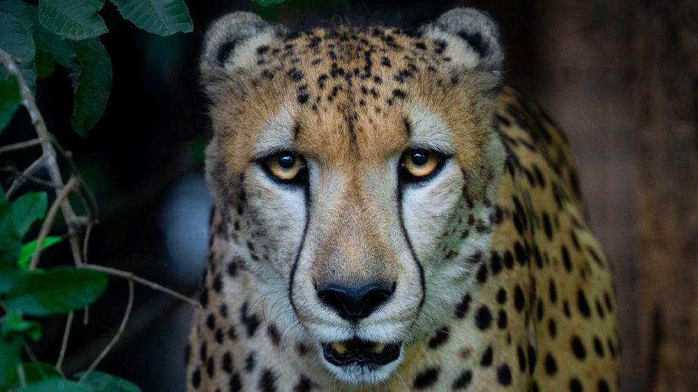 Photograph by Artem Khazov