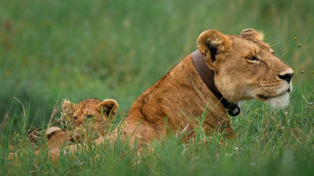 Photograph by Artem Khazov