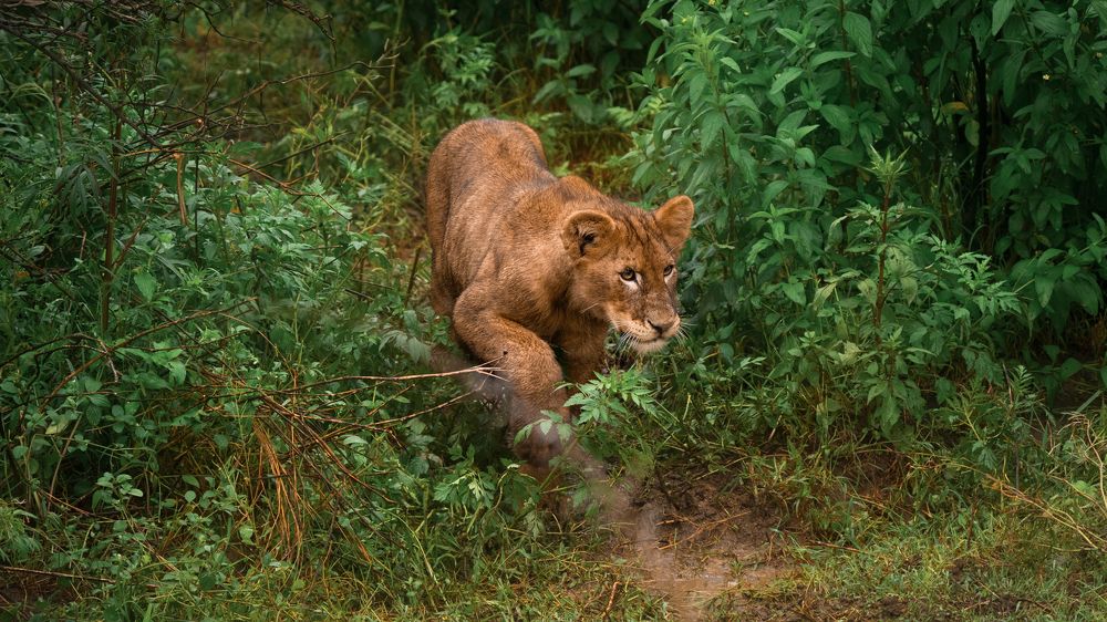 Photograph by Artem Khazov