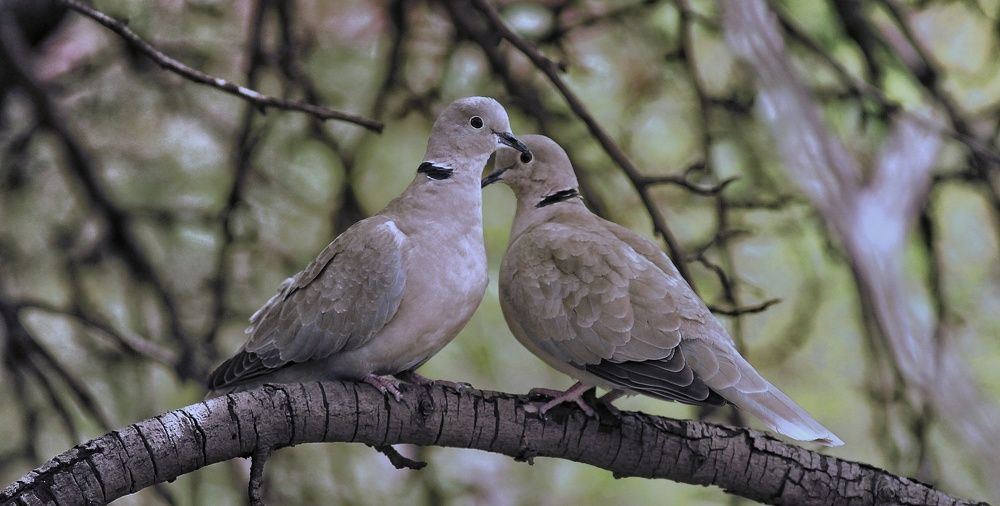 Photograph by Sergey Velichko