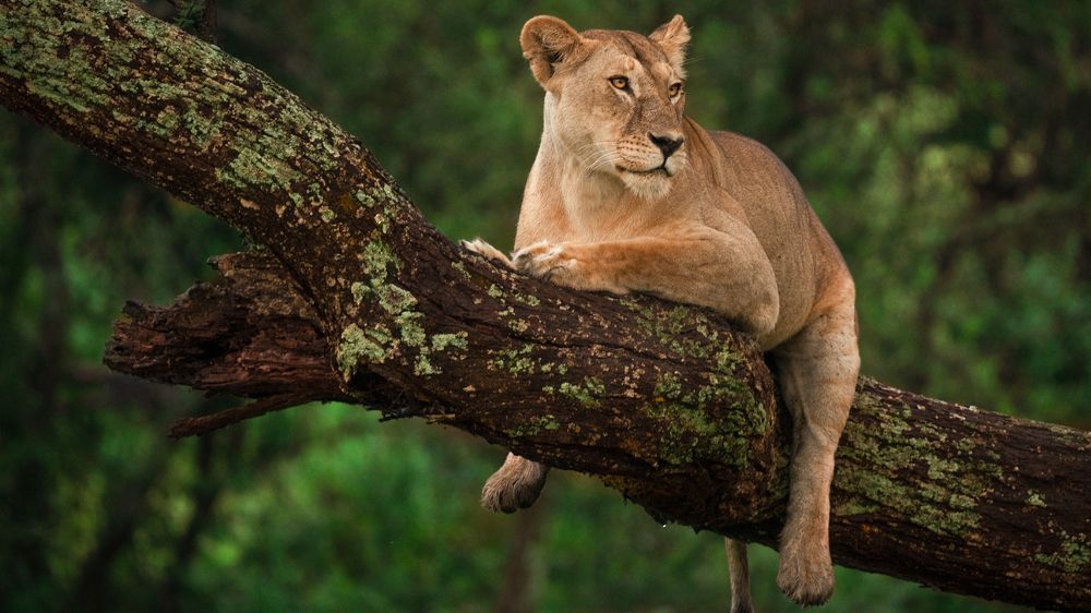 Photograph by Artem Khazov