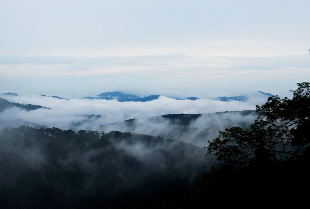 Photograph by Victoriia