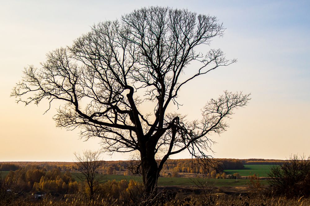 Photograph by Николай Круглов