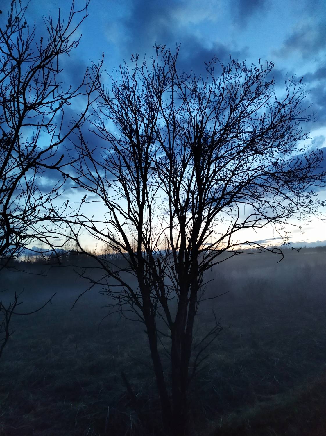 Photo #6784476