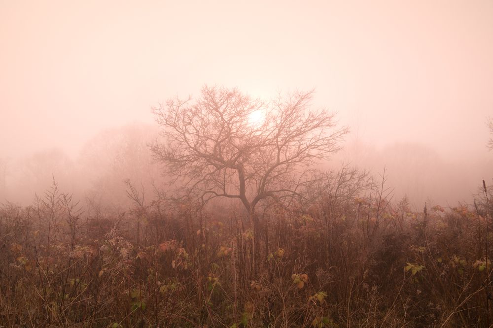 Photograph by Семён Кузнецов