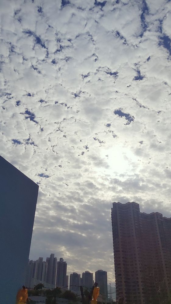 Photograph by Arlyn Taylaran Burias