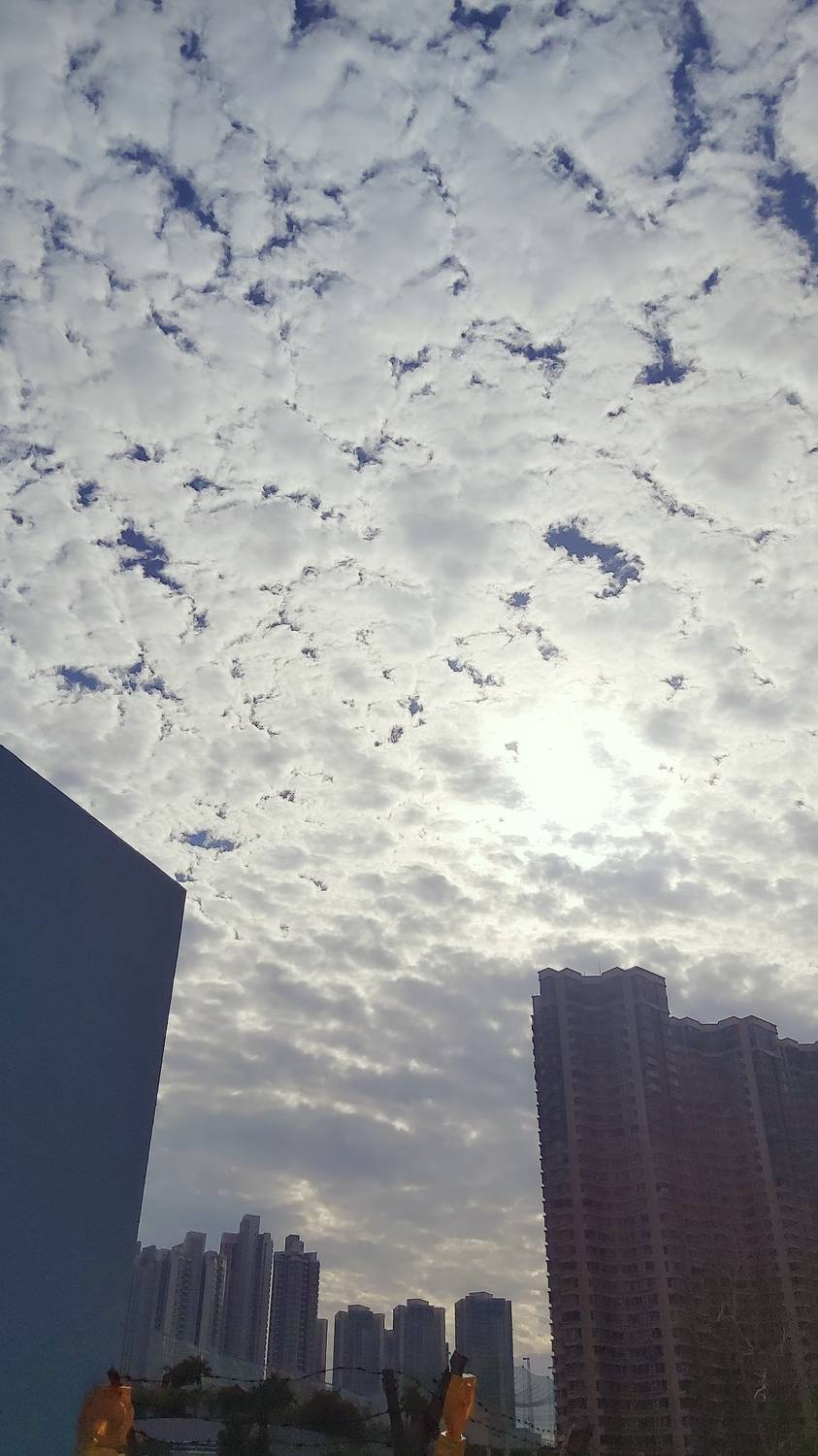 Photo #6784550