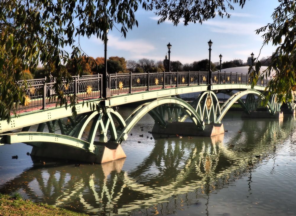 Фотография автора 