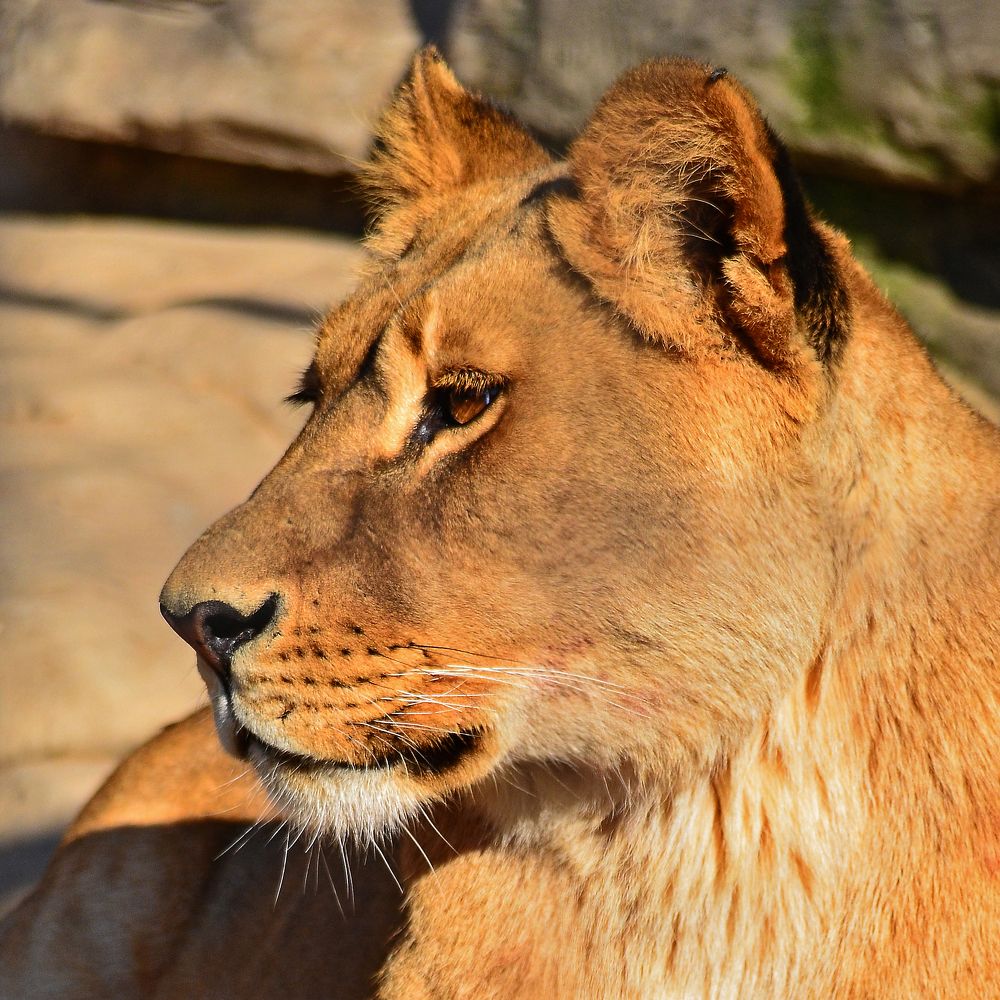 Фотография автора Антип