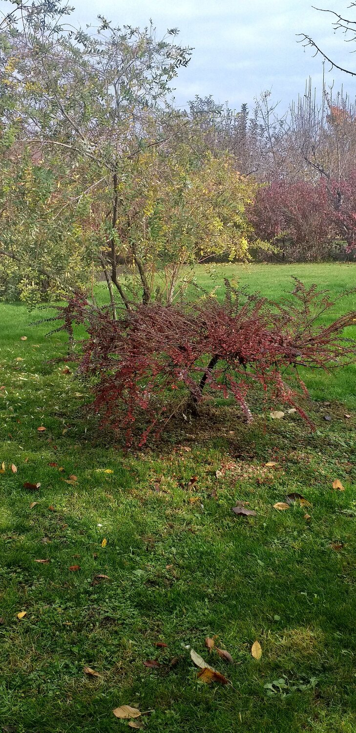 Photo #6784638
