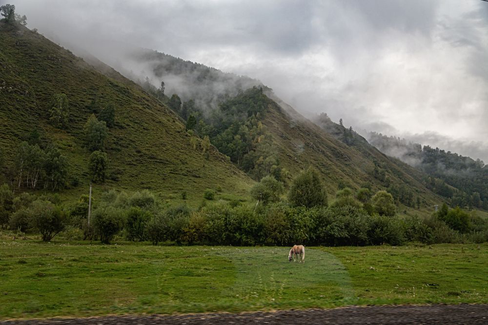 Photograph by Елена Черненко