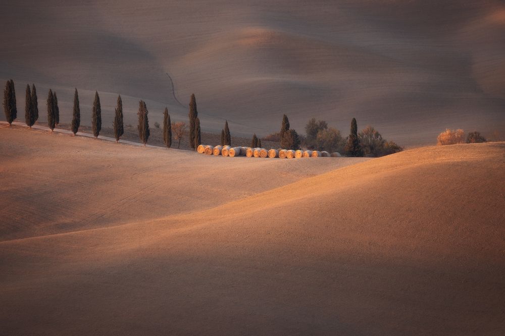 Фотография автора Oleg Rest