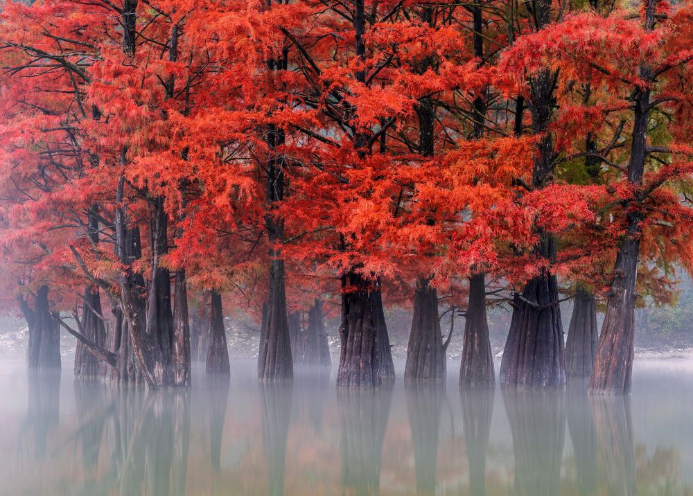 Photograph by Валерий Одинцов