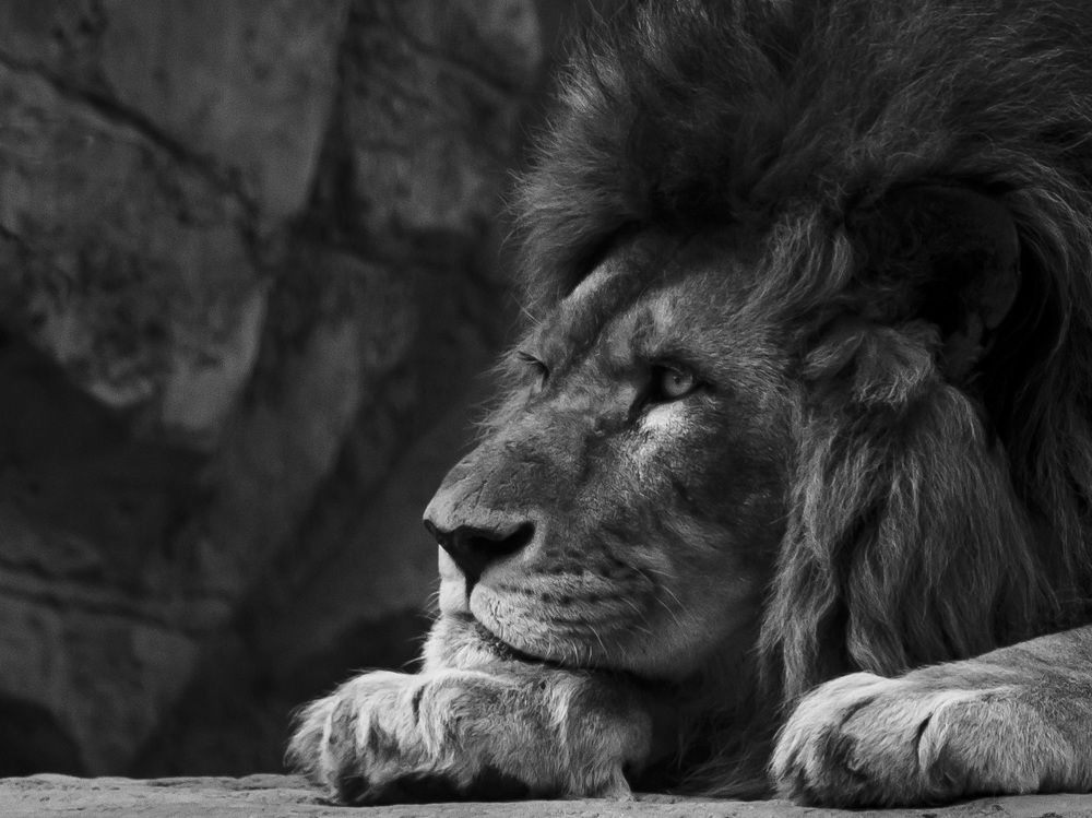 Photograph by Anna Gapanovich