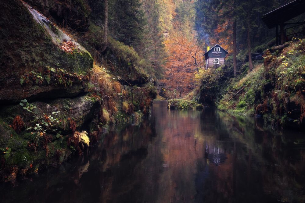 Фотография автора Oleg Rest