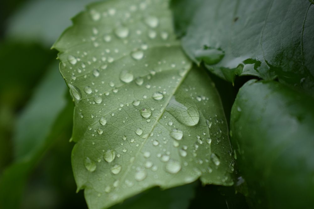 Photograph by Наталья Еременко