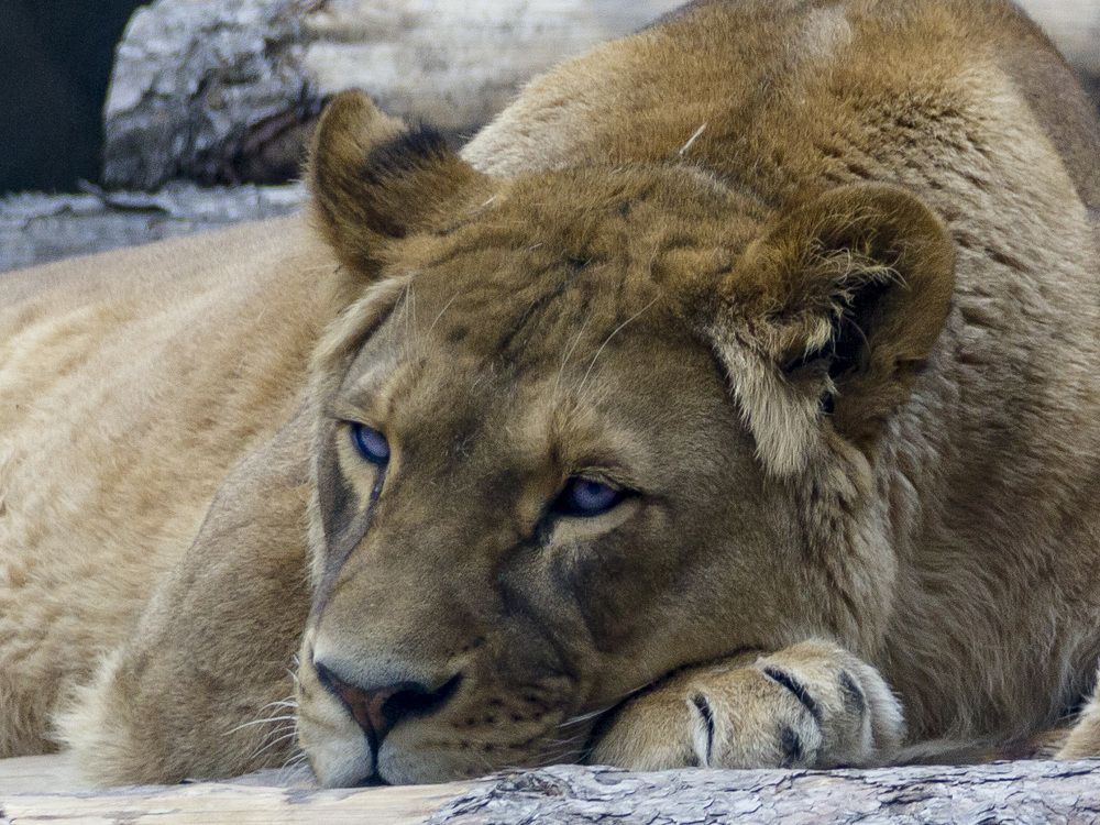 Photograph by Anna Gapanovich